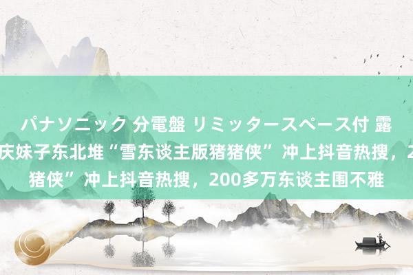 パナソニック 分電盤 リミッタースペース付 露出・半埋込両用形 重庆妹子东北堆“雪东谈主版猪猪侠” 冲上抖音热搜，200多万东谈主围不雅