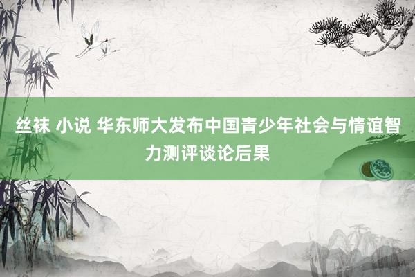 丝袜 小说 华东师大发布中国青少年社会与情谊智力测评谈论后果