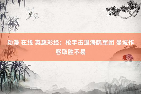 动漫 在线 英超彩经：枪手击退海鸥军团 曼城作客取胜不易