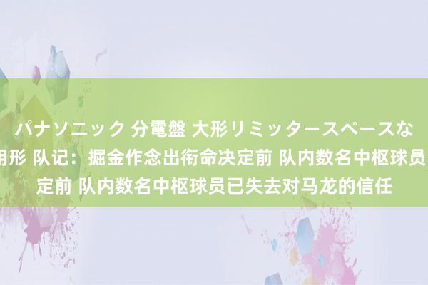 パナソニック 分電盤 大形リミッタースペースなし 露出・半埋込両用形 队记：掘金作念出衔命决定前 队内数名中枢球员已失去对马龙的信任